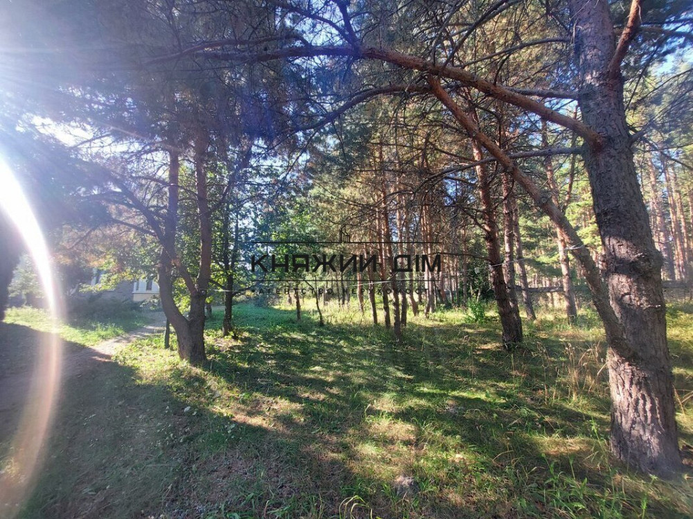 Без комісії .Є Генератор .Оренда, будинок в Колонщині . Код Об'єкта 135973 Колонщина - фото 4