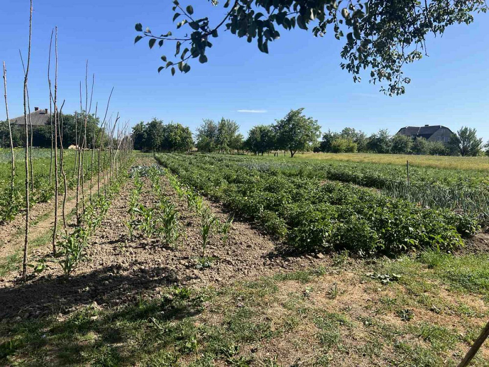 Продаж Квартира на улица Шевченка 61 Туради - изображение 7