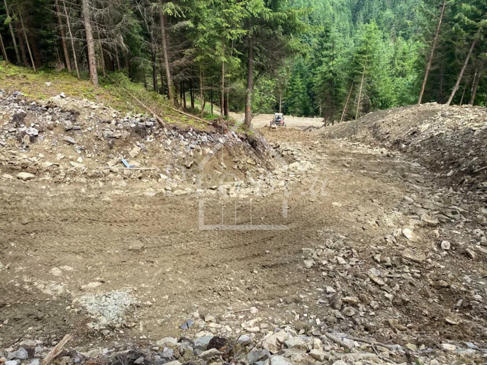 Продаж земельної ділянки 80 соток на Довга Верхній Ясенів - фото 12