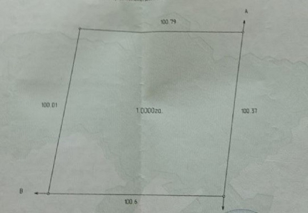 Продаж земельної ділянки 1 га Sadky - photo 16