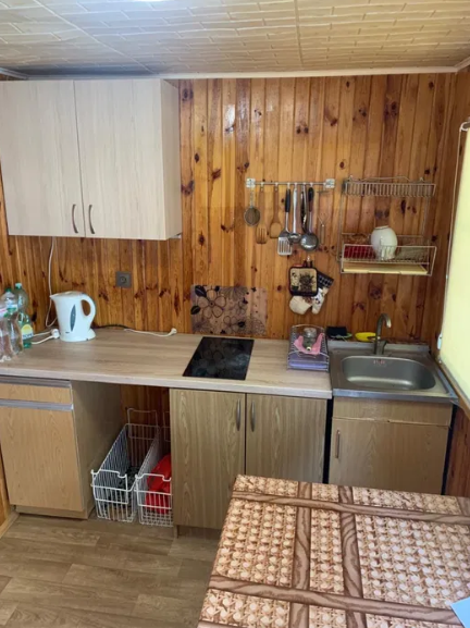 Продам курень у моря в Крыжановке (218 Причал) Крижанівка (Комінтернівський район) - фото 3