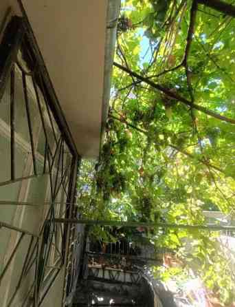 3 -х ком. квартира на земле - пер. Матросова Одеса