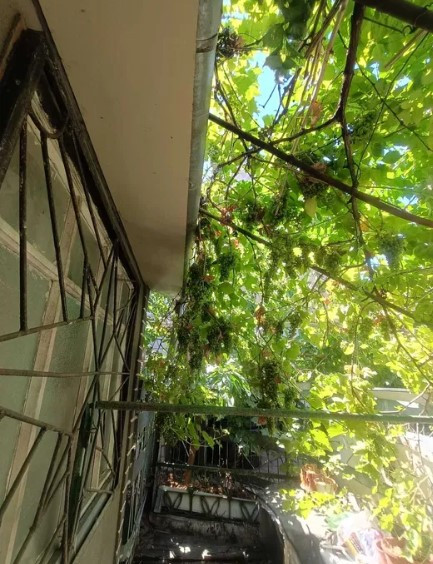 3 -х ком. квартира на земле - пер. Матросова Одеса - фото 3