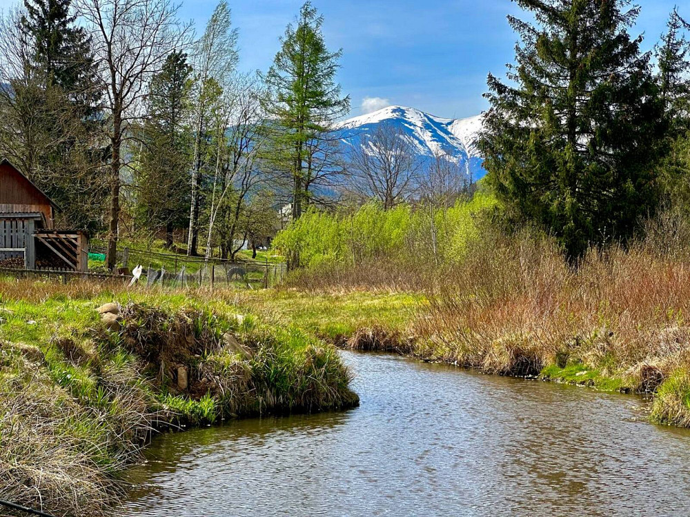 Продаж земельної ділянки 31 соток  - photo 1