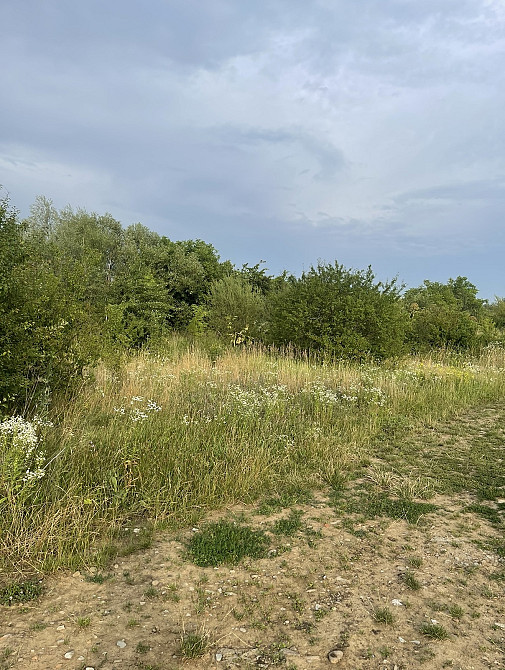 Продаж земельної ділянки 6 соток  - photo 7