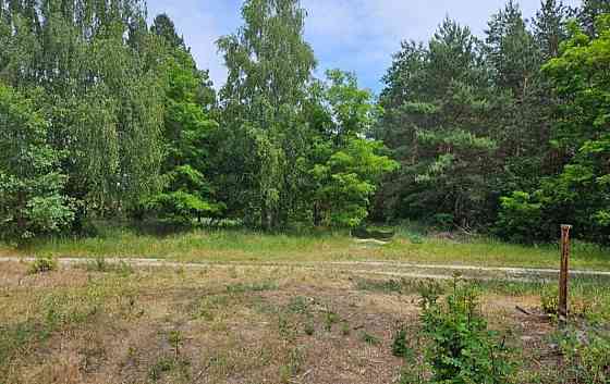 Продаж земельної ділянки 30 соток на улица Мира, д. 