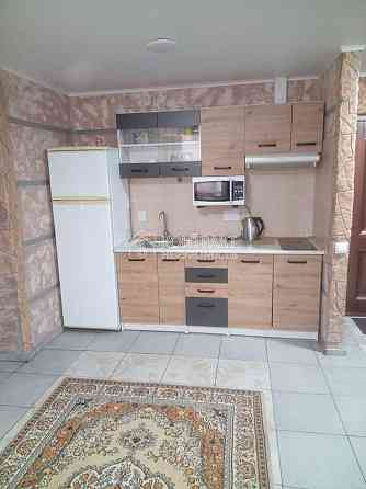 Оренда 1к Квартира 35 кв.м Луї Пастера вул. Харків