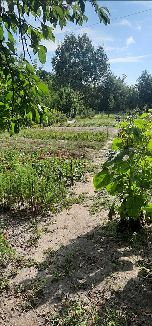 Продаж земельної ділянки 8 соток на Новогуйвинське Zhytomyr - photo 2