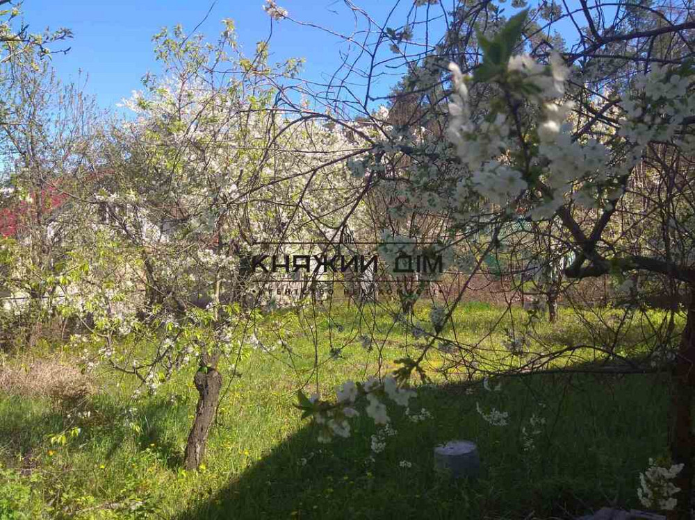 Продажа дачного домика в СТ Авиатор с. Николаевка Макаровский р-н. № 2210701  - фото 14