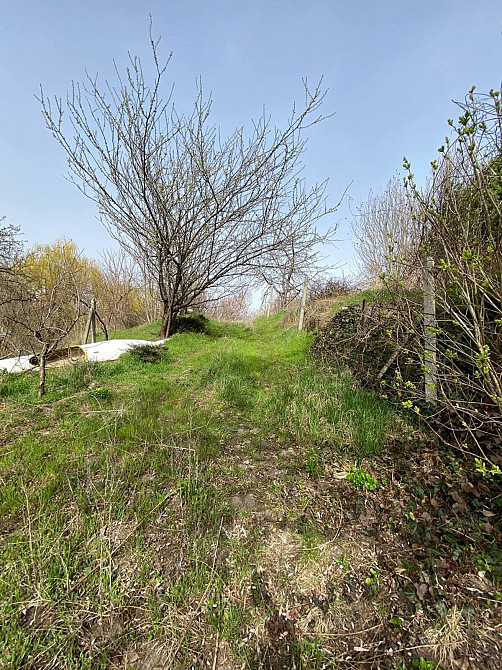 Продаж земельної ділянки 7 соток на Центральная  - фото 7