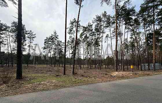 Продаж земельної ділянки 45 соток на Обухівське шосе, 1 Kozyntsi