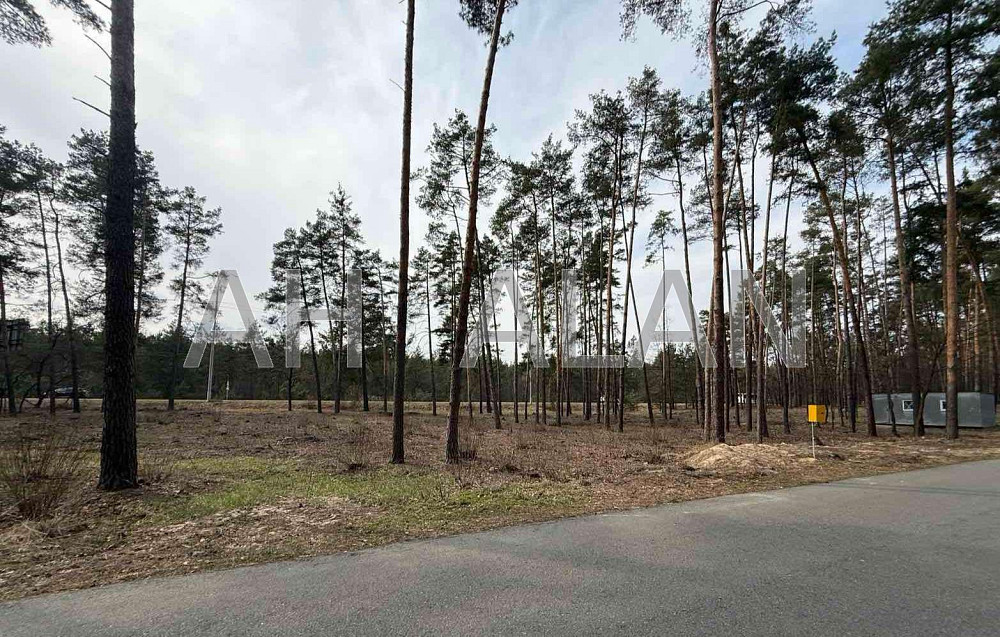 Продаж земельної ділянки 45 соток на Обухівське шосе, 1 Козинці - фото 2