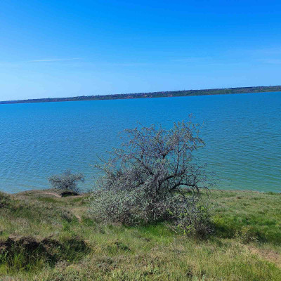 Продаж земельної ділянки 0.1 соток на СТ Межлиманье ( ул. Виноградная), 467 Протопоповка - изображение 8