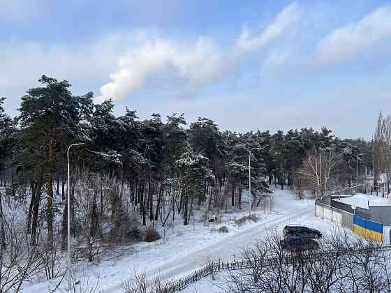 Продаж Квартира 1-кімнатна, 4/9 поверх на Мілютенка вул., д. 46 Kiev