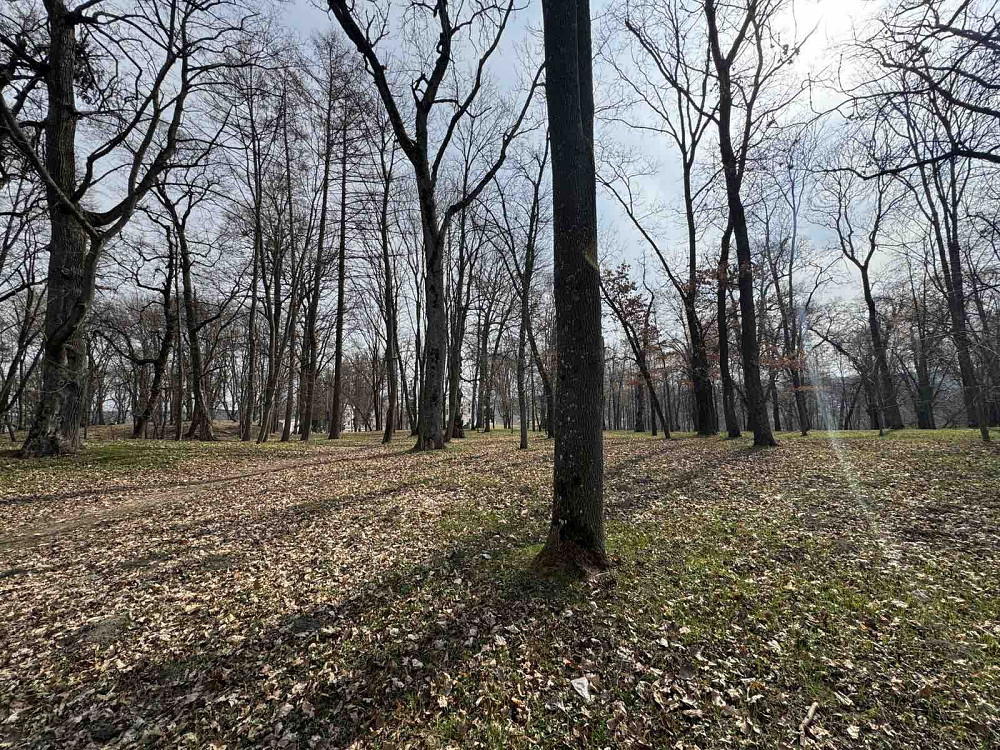 Продаж торгове приміщення на вул. Д. Вишнівецького поверх - 1/1  - фото 19