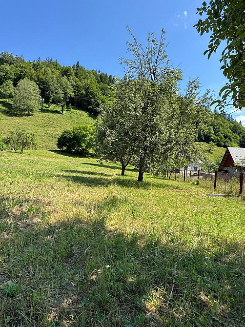 Продаж Будинок Великий Рожин - фото 3