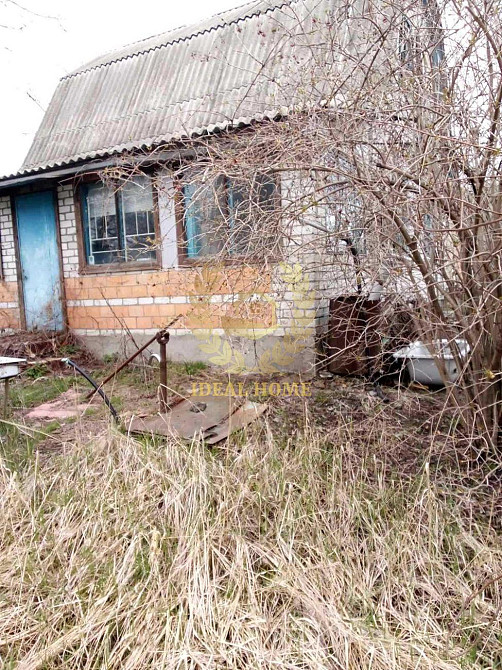 Продам будинок в тарасівка Вільна Тарасівка - фото 3