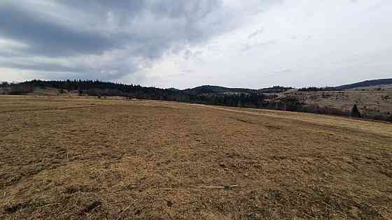 Продаж земельної ділянки 13.7 соток на вул. Шевченка Опака