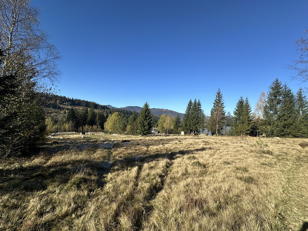 Продаж земельної ділянки 18.38 соток Микуличин - фото 4