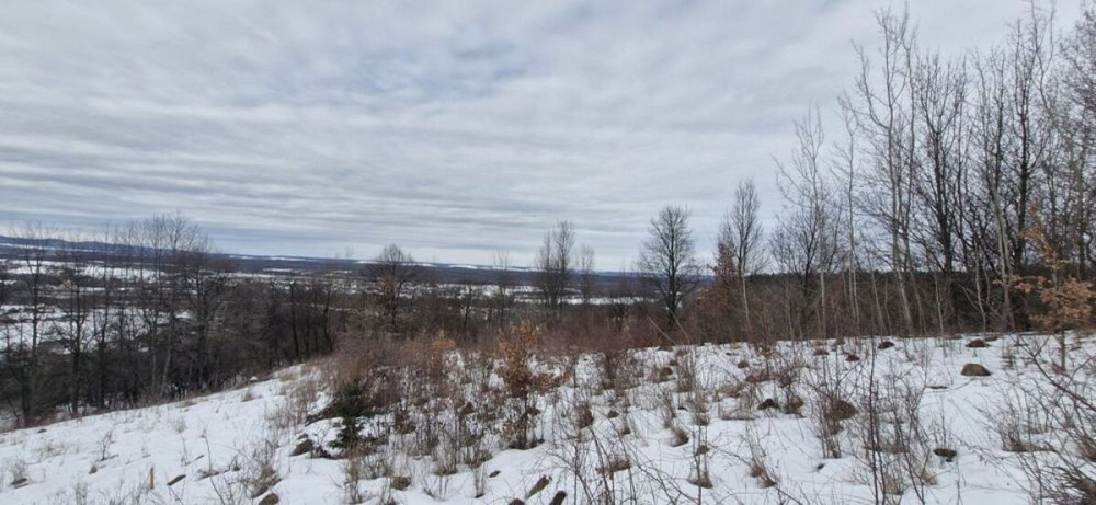 Продаж земельної ділянки 29 соток Жураки - фото 12