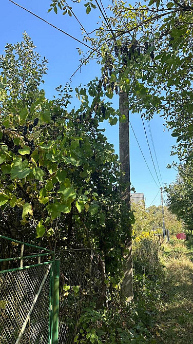 Продаж земельної ділянки 0.55 соток Vovchynets - photo 7