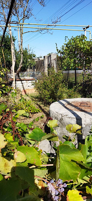 Продается новый  дом в с. Протопоповка Протопопівка - фото 13