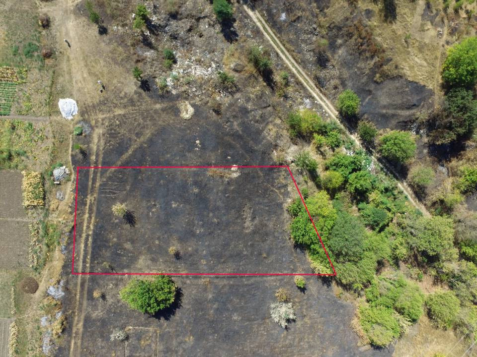 Продаж земельної ділянки на 32.216279, Леськи - фото 5