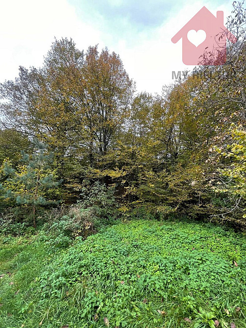Продаж земельної ділянки 33 соток Huta - photo 7