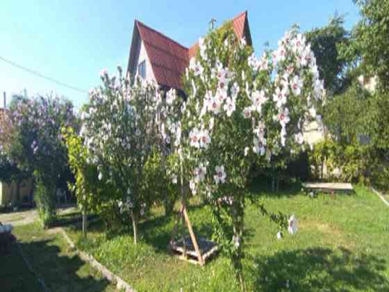 Продаж земельної ділянки 0.2 соток на ул. Шевченка, 12 Одеса