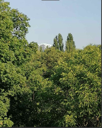 Дом в Золотом треугольнике. Одеса - фото 1