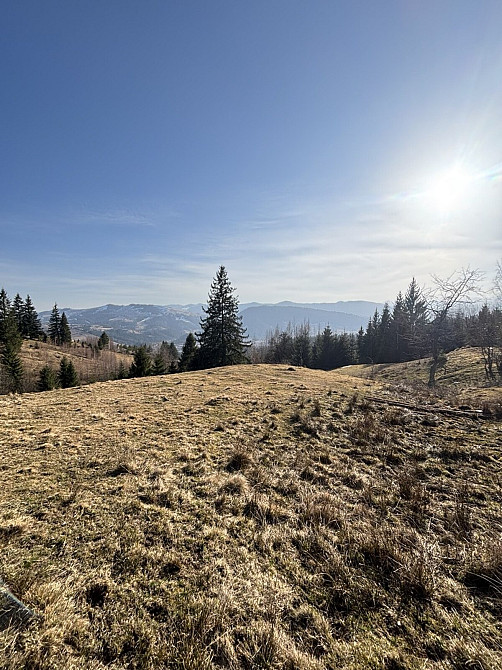 Продаж земельної ділянки 31 соток Verkhovyna - photo 2