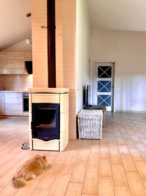 Продаж 1-поверховий Будинок з ділянкою 20 сот 111 кв.м 6 кімн. на Пряжево Zhytomyr - photo 4