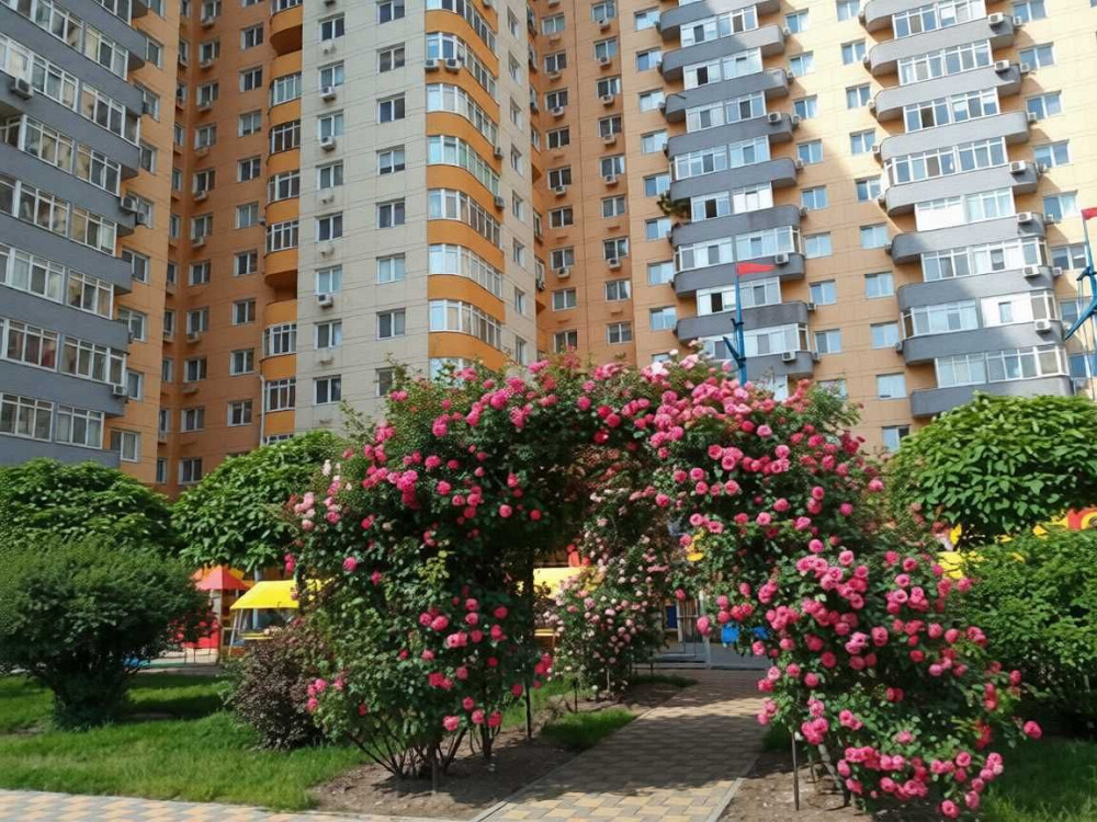 Продаж Квартира 1-кімнатна, 23/26 поверх на Кондратюка Юрия вул., д. 3 Kiev - photo 15