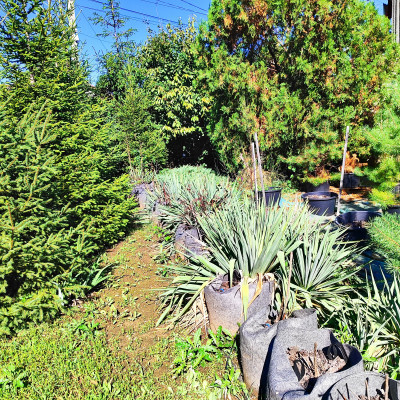 Продаж земельної ділянки 0.1 соток на ул. Комарова, 25б Нерубайське - фото 16