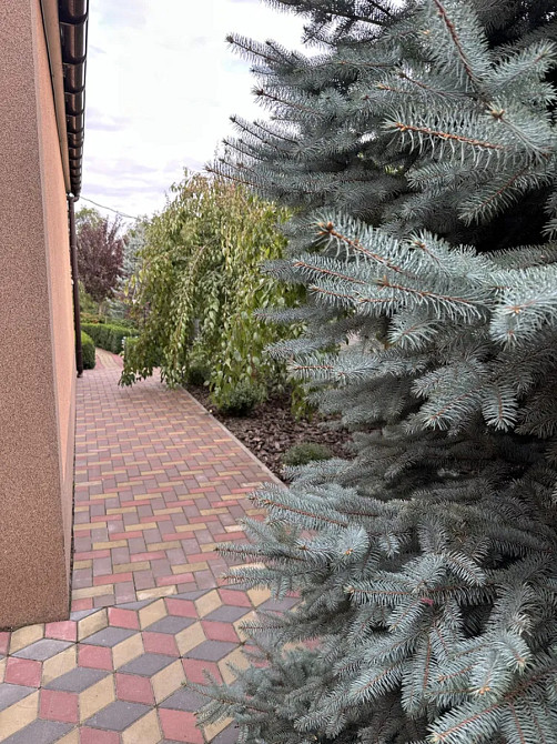 Продаж Будинок Олександрія - фото 17