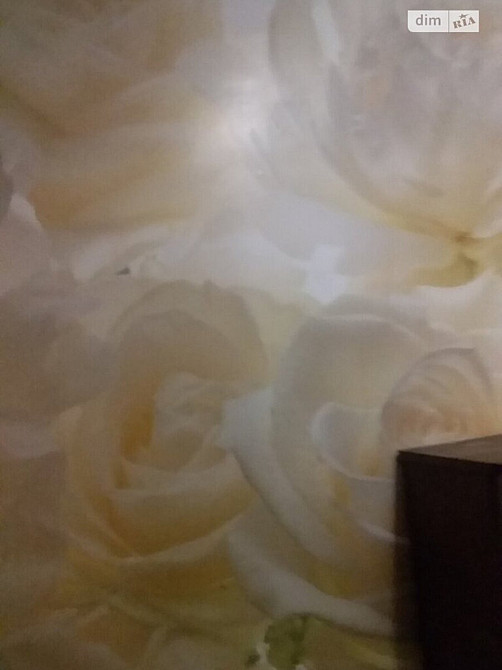 Оренда приміщення вільного призначення Vinnytsya - photo 4