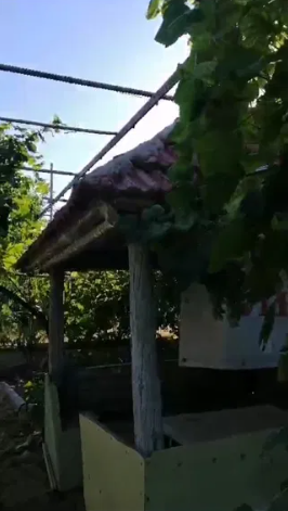 Продам дом с баней в с.Новоукраинка (Раздельнянский р-н, 55 км от Одессы) Новоукраїнка - фото 14