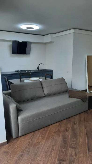 Оренда Квартира 1-кімнатна, 2/14 поверх на ул. Соломенская, 8 Київ - фото 4