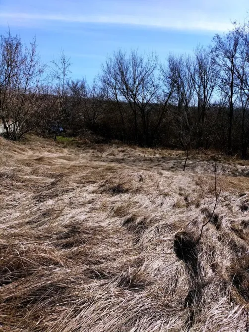 Продажа земельного участка Для строительства частного жилого дома площадь 15 сот село Миколаївка Днепр - изображение 6