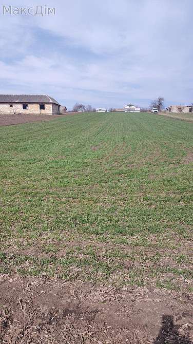 Продаж Будинок на вул. Садова Hrabovets - photo 3