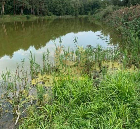 продам будинок в таращі Тараща - фото 7