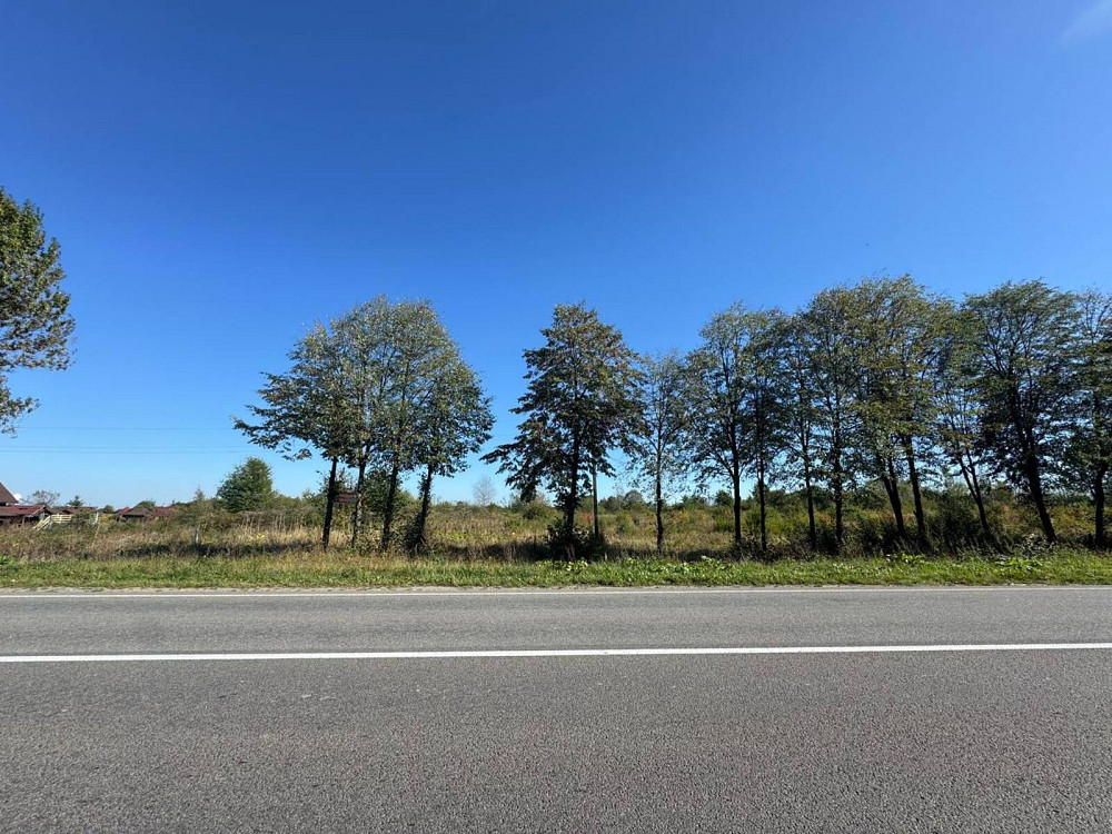 Продаж земельної ділянки 1.1 га Tsutsyliv - photo 6