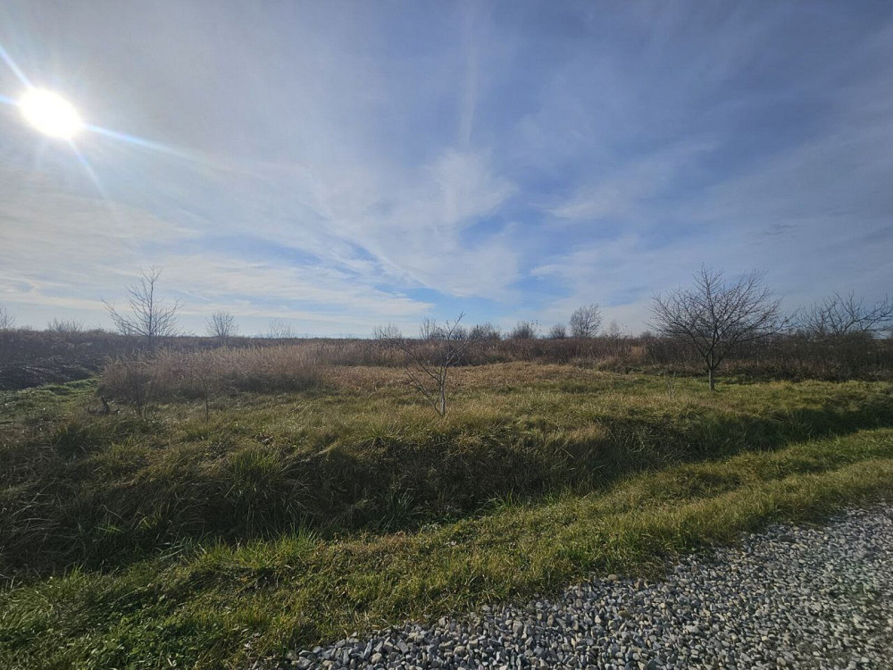 Продаж земельної ділянки 20 соток Черніїв - фото 4