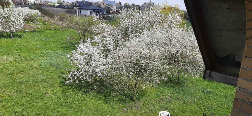 Продаж 2-поверховий Будинок з ділянкою 28 сот 262.4 кв.м 7+ кімн. на Польова вул. Ременів - фото 17