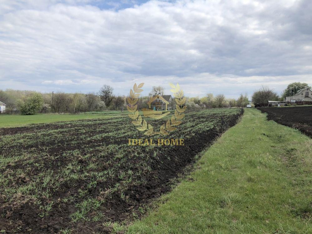 Продаж земельної ділянки 61 соток на Полевая ул., 3 Ustymivka - photo 11