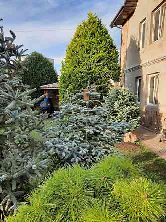 Красивый хозяйский дом на большом участке, 10 ст. Большого Фонтана! Одеса