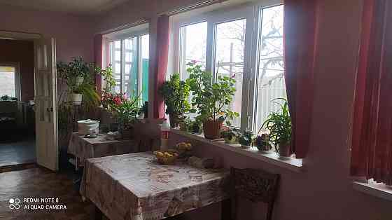 Большой хозяйский дом на 23 сотках! Августівка