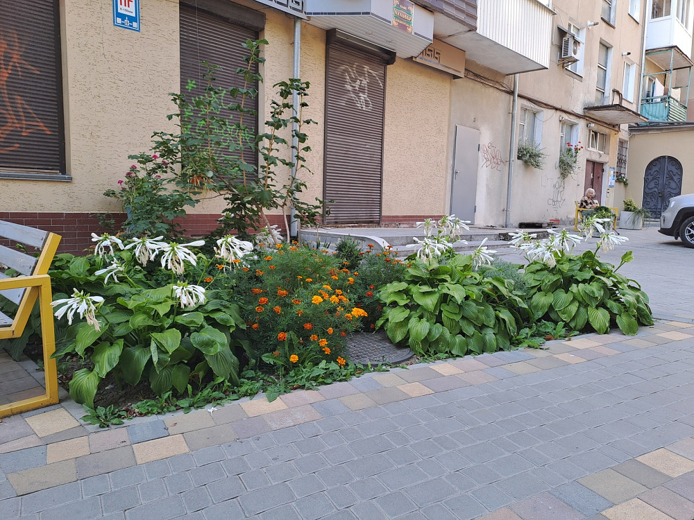 Оренда фасадного приміщення на бульв.Д.Галицького. Тернопіль - фото 2