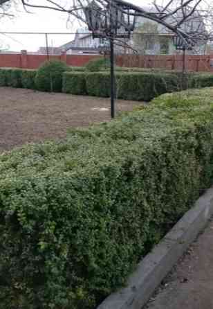 3-этажный  дом в Нерубайском. Нерубайське