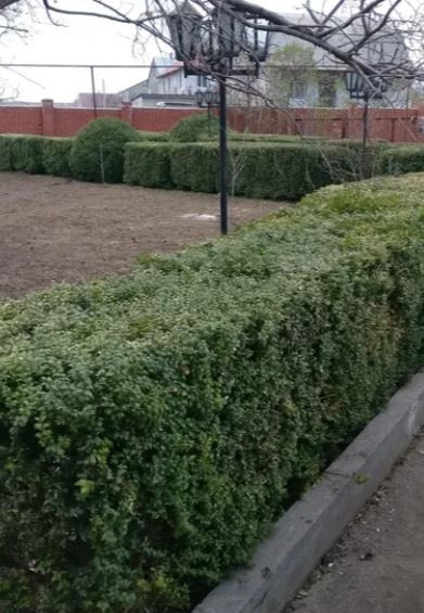 3-этажный  дом в Нерубайском. Нерубайське - фото 3